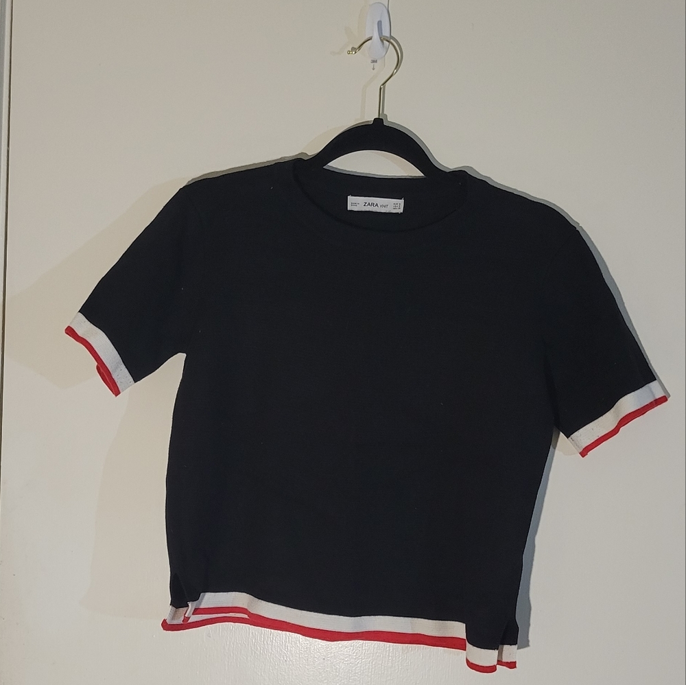 ZARA Knit Cropped Top